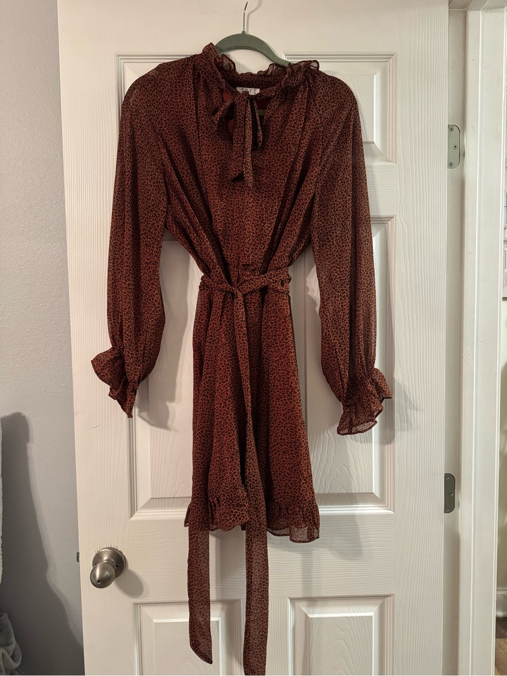 Rust Brown Long-Sleeve Tie-Waist Mini Dress
